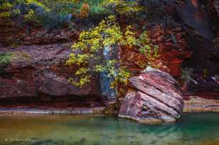 Zion Canyon, Fall-4550.jpg Zion Canyon, Fall-4550.jpg